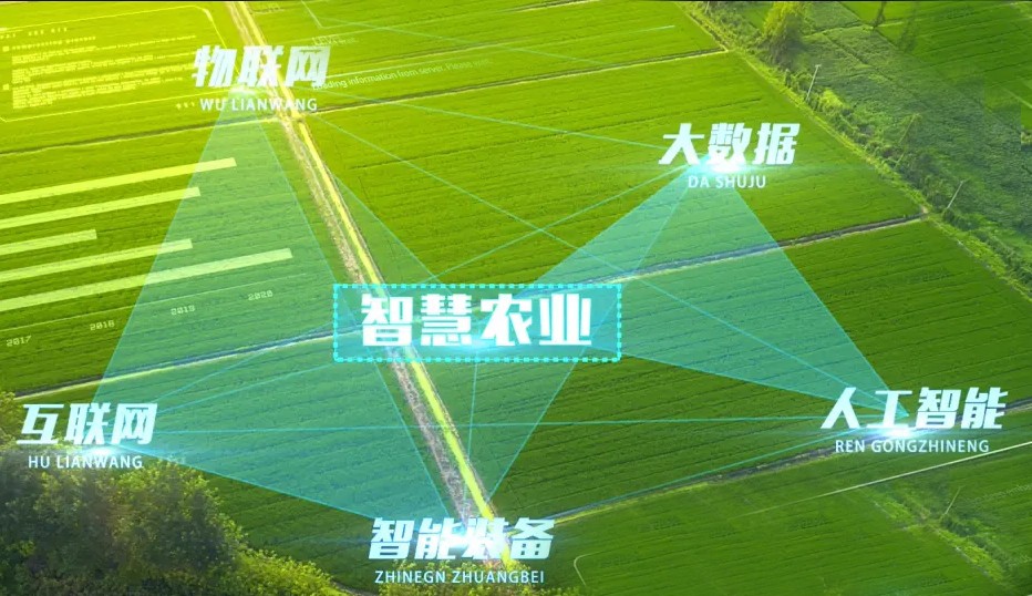 http://www.ewru.cn/Upload/ueditor/1743472775737739.jpg
